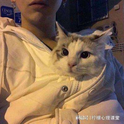 七彩鱼果盘版下载